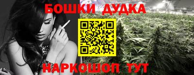 spice Мариинск