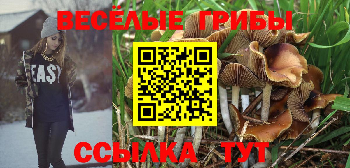 Ипатово  Галлюциногенные грибы мухоморы  Вход с VPN 